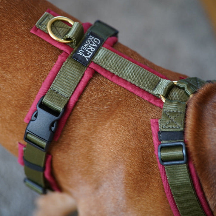 Hundegeschirr Cherrywood