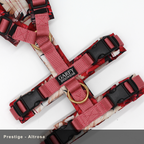 Sicherheitsgeschirr Konfigurator