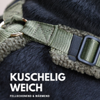 Teddy Hundegeschirr 'Olive'