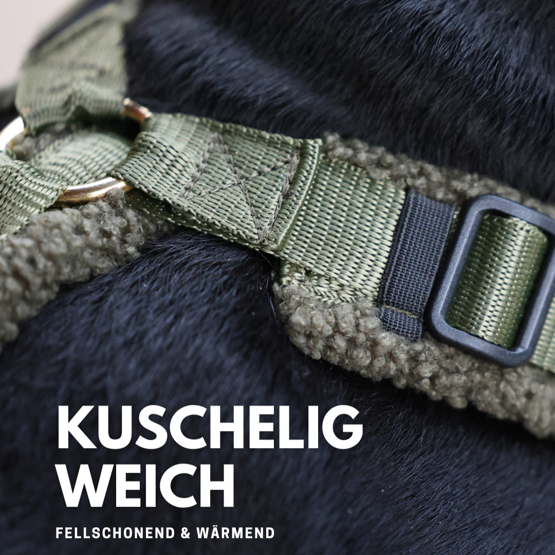 Teddy Hundegeschirr 'Olive'