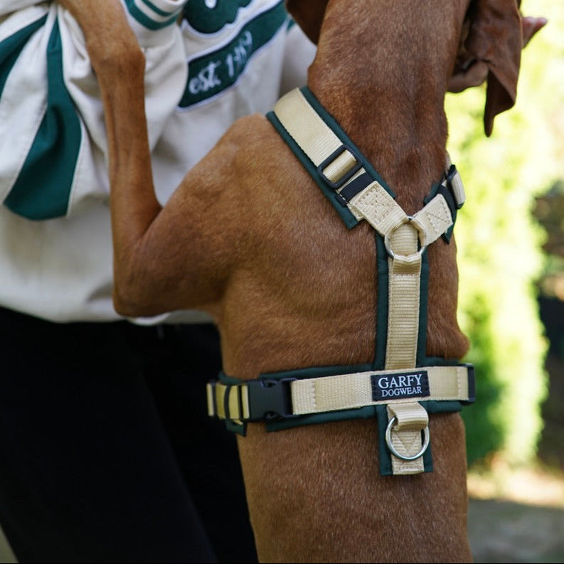 Hundegeschirr Hunting Green