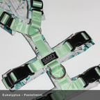 Sicherheitsgeschirr Konfigurator