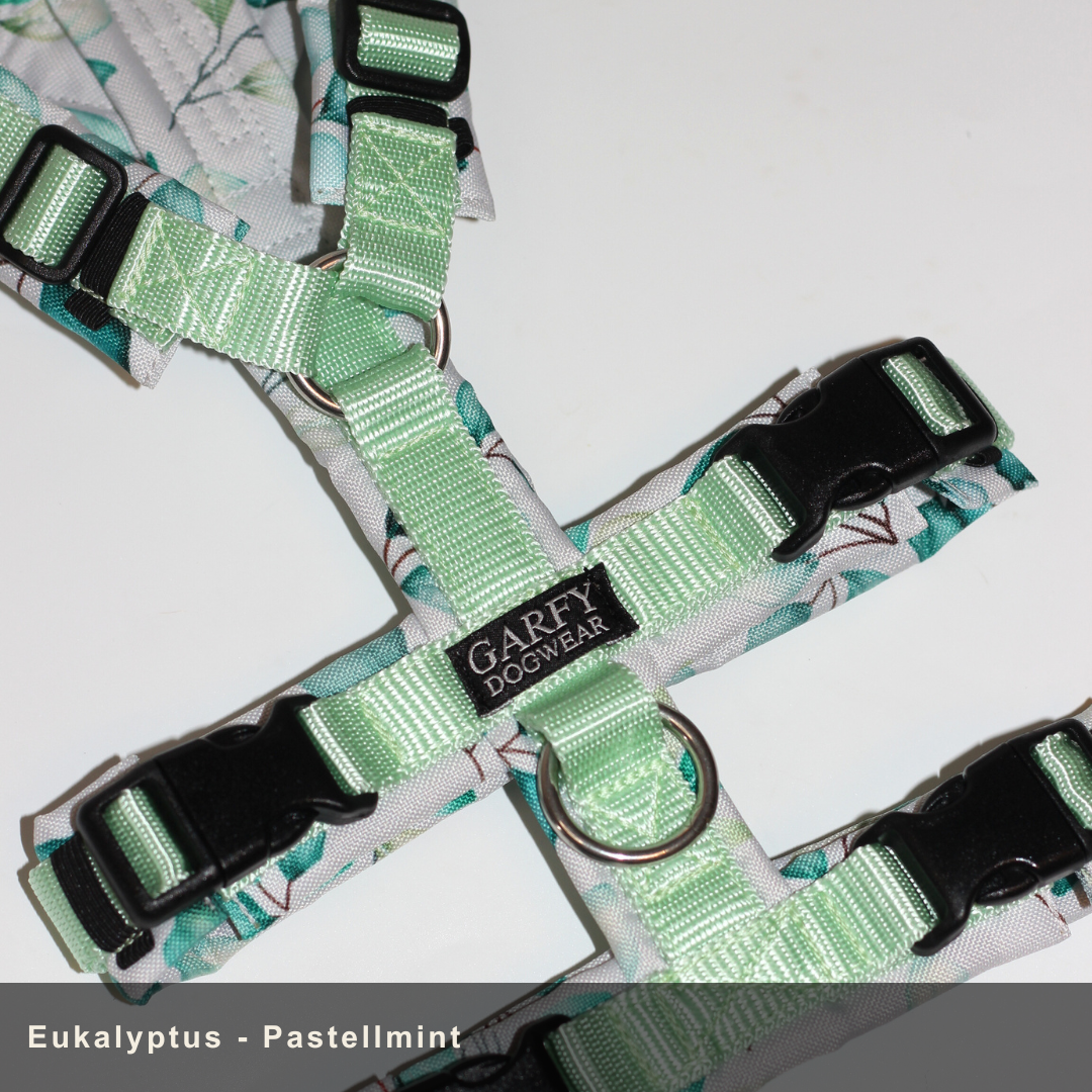 Sicherheitsgeschirr Konfigurator