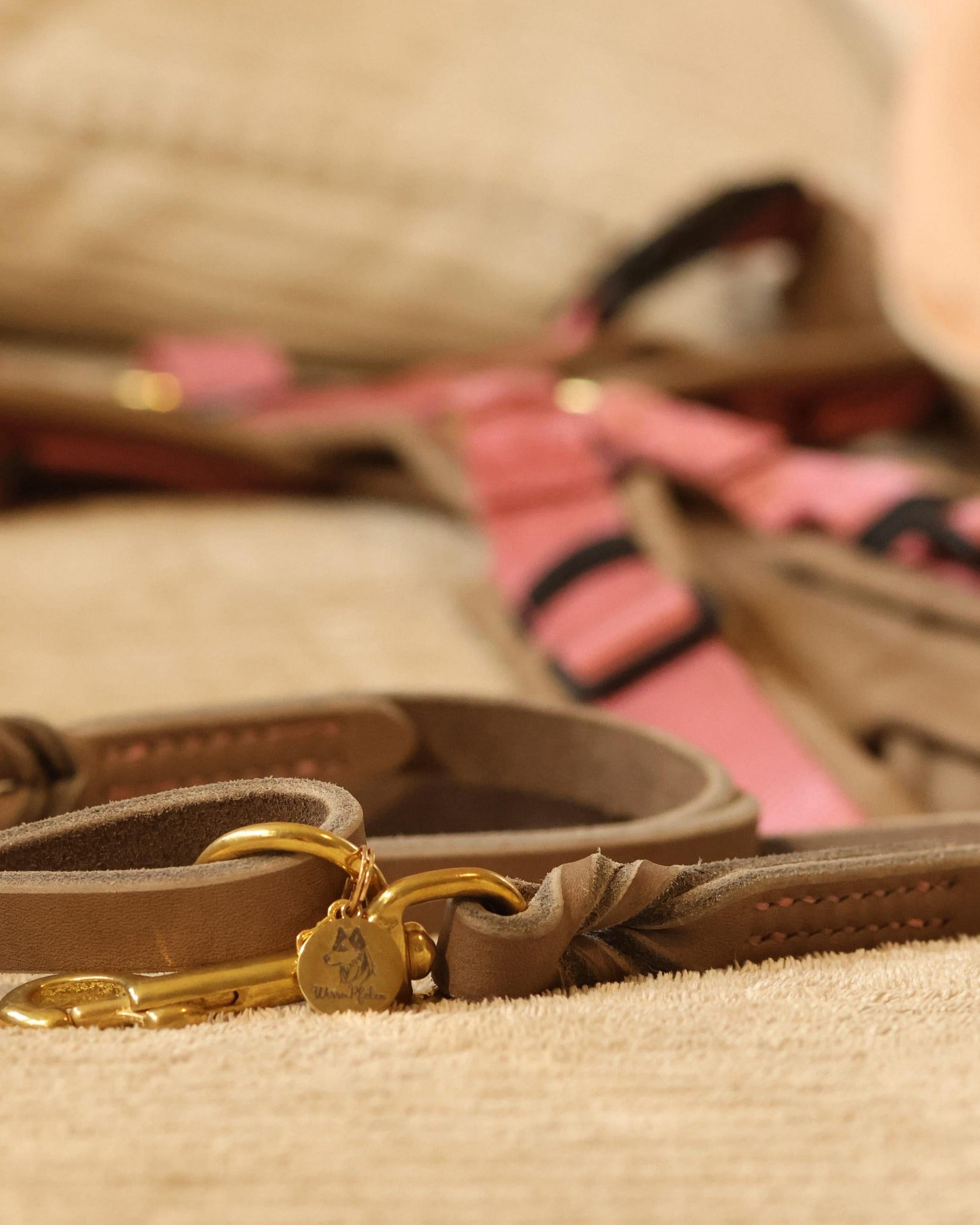 Fettleder Leine Dune