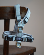 Hundegeschirr Pure Grey