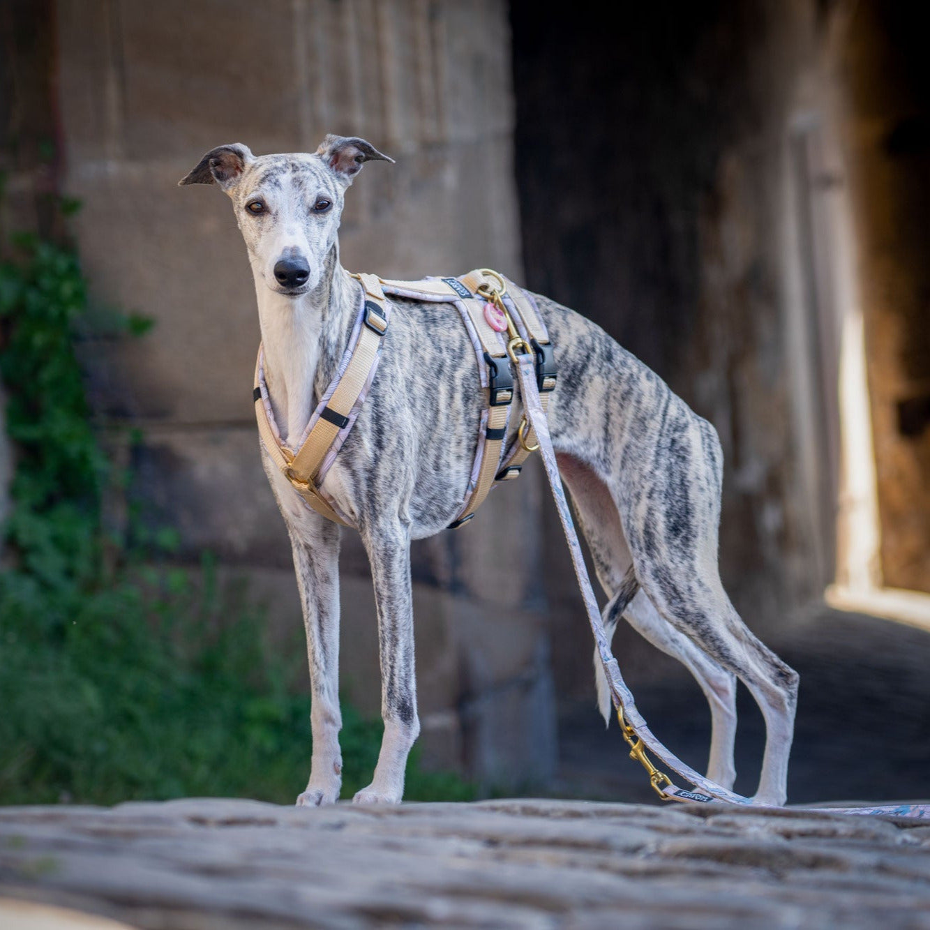 Sicherheitsgeschirr Konfigurator