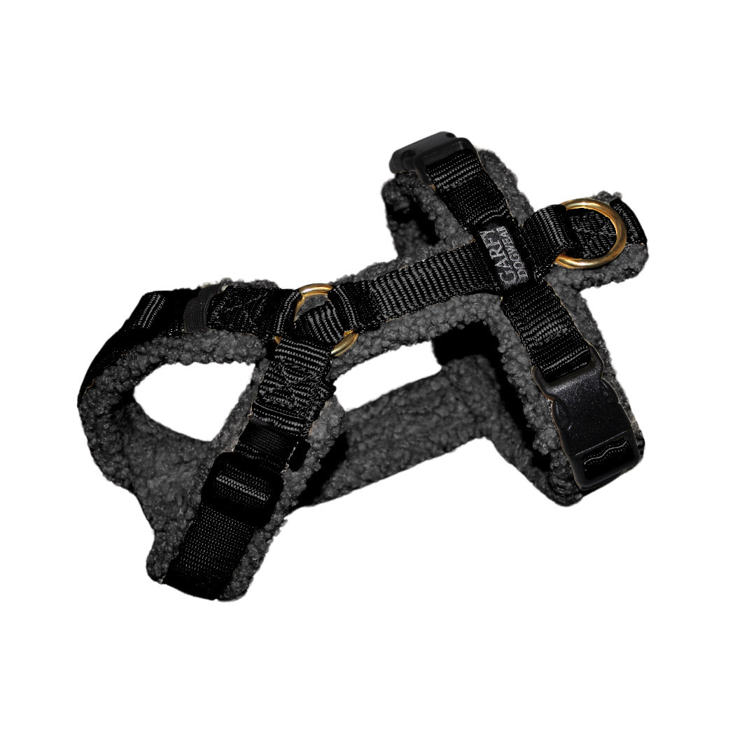 Teddy Hundegeschirr 'Nero'