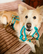 Kletterseil-Mix Leine Aqua