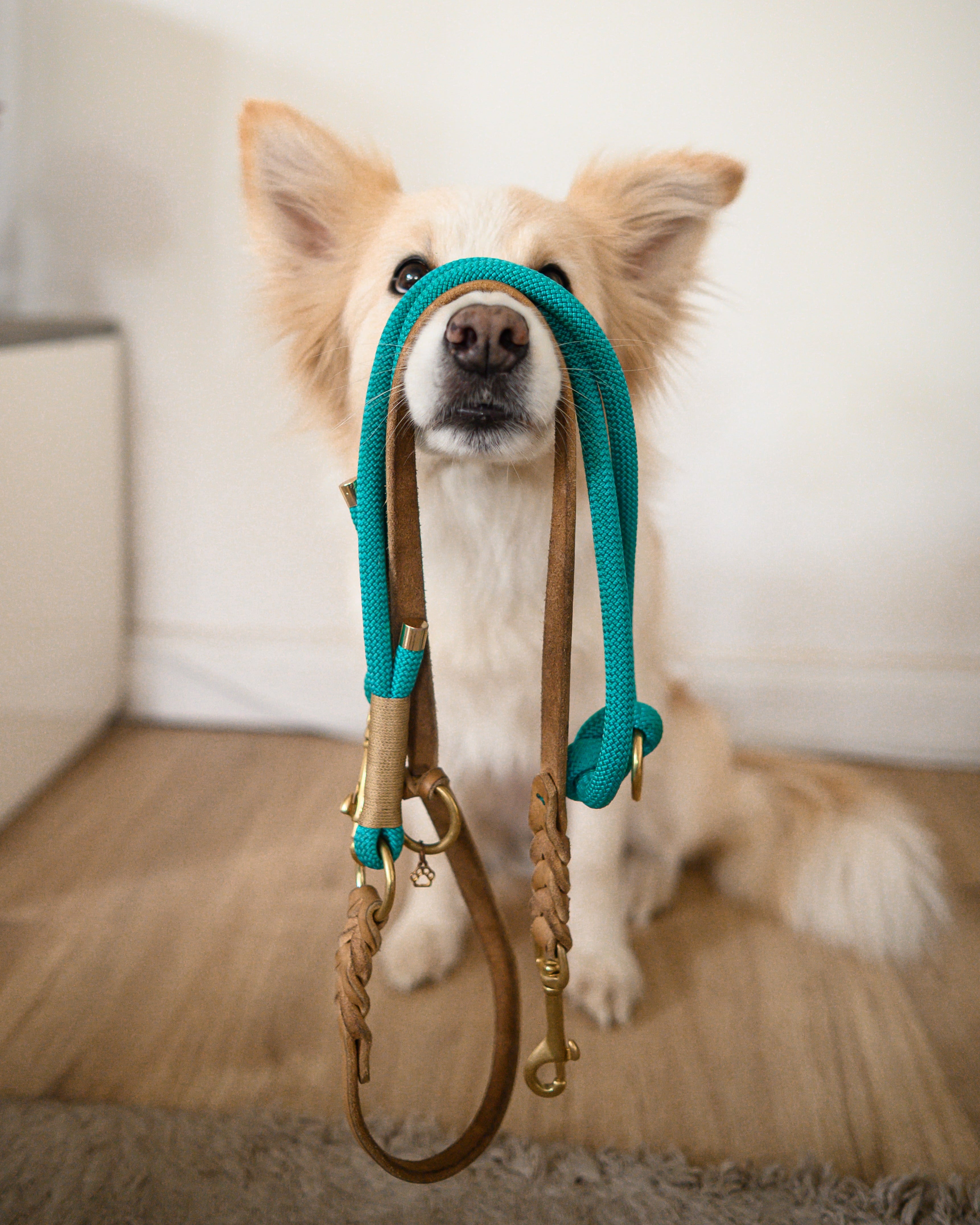 Kletterseil-Mix Leine Aqua