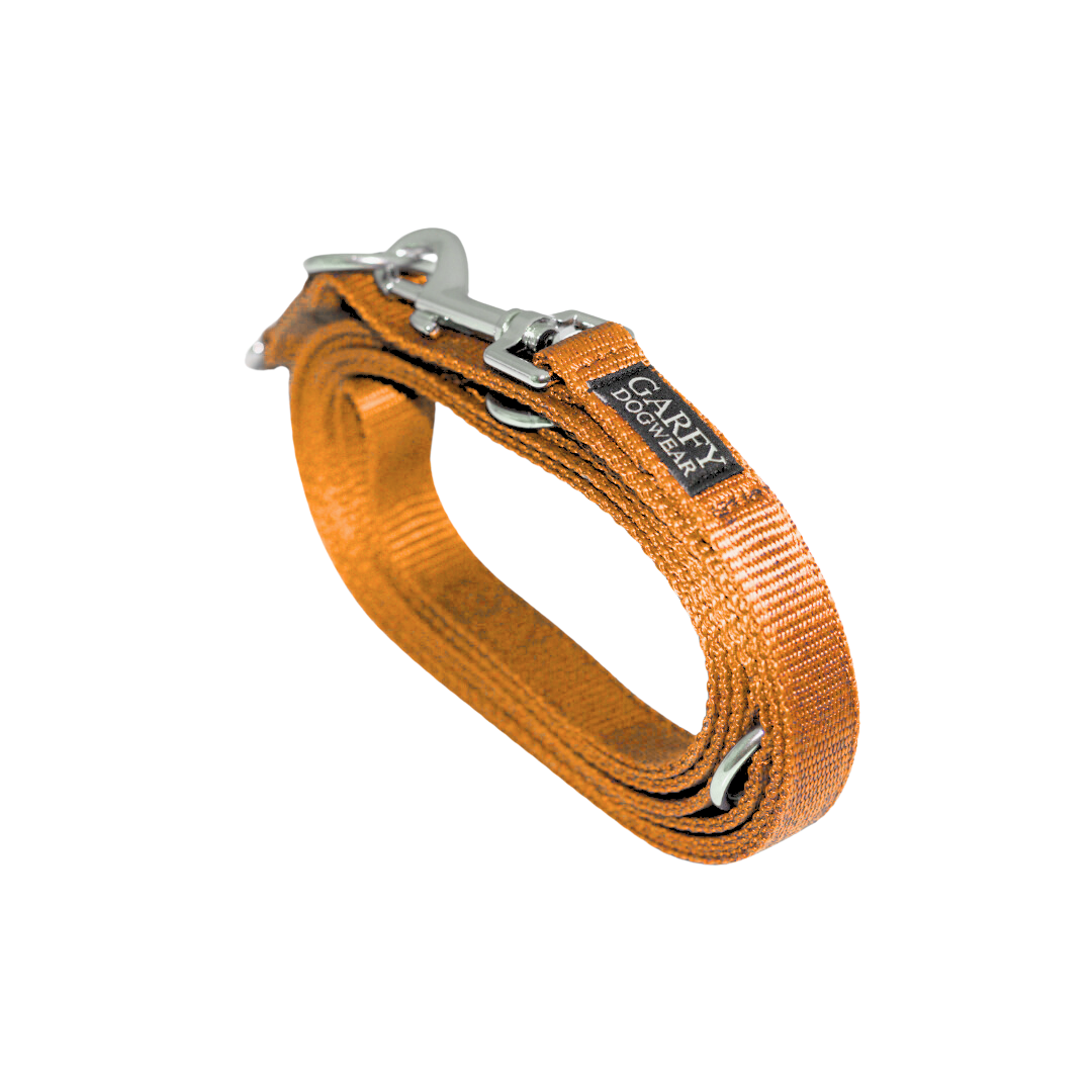Hundeleine Basic Amber