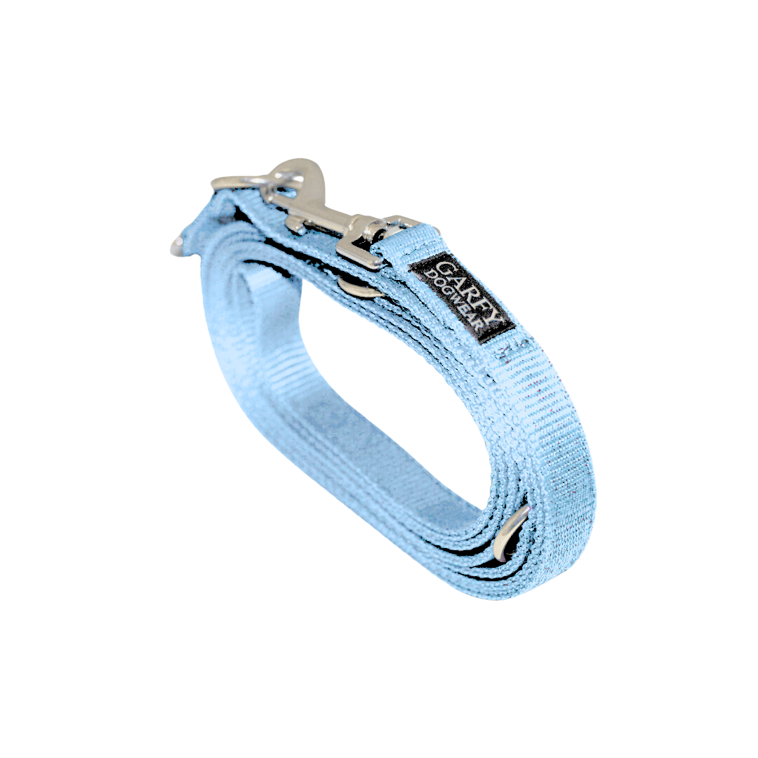 Hundeleine Basic Ice