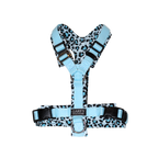 Hundegeschirr Easy Clip 'Blue Leo'