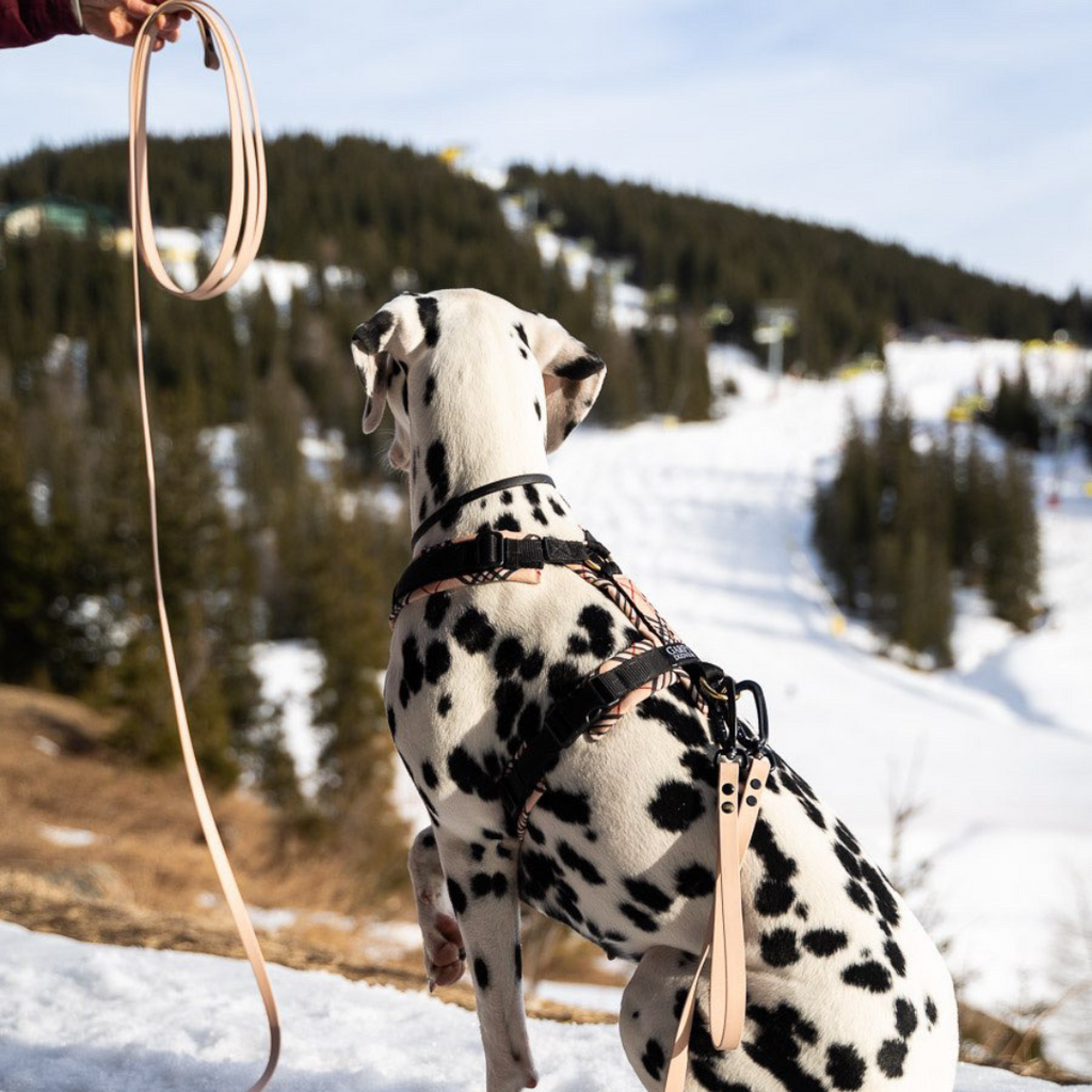 Biothane® Schleppleine Trio