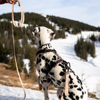 Biothane® Schleppleine Trio