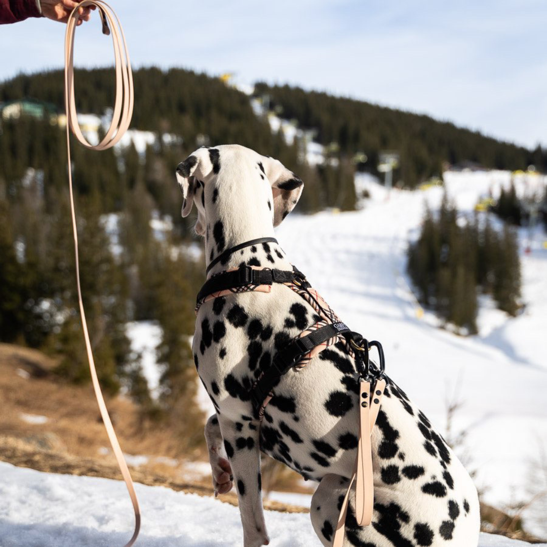 Biothane® Schleppleine Trio