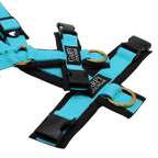 Hundegeschirr Pure Sky