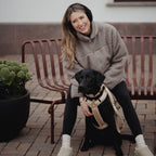 Teddy Hundegeschirr 'Cream'