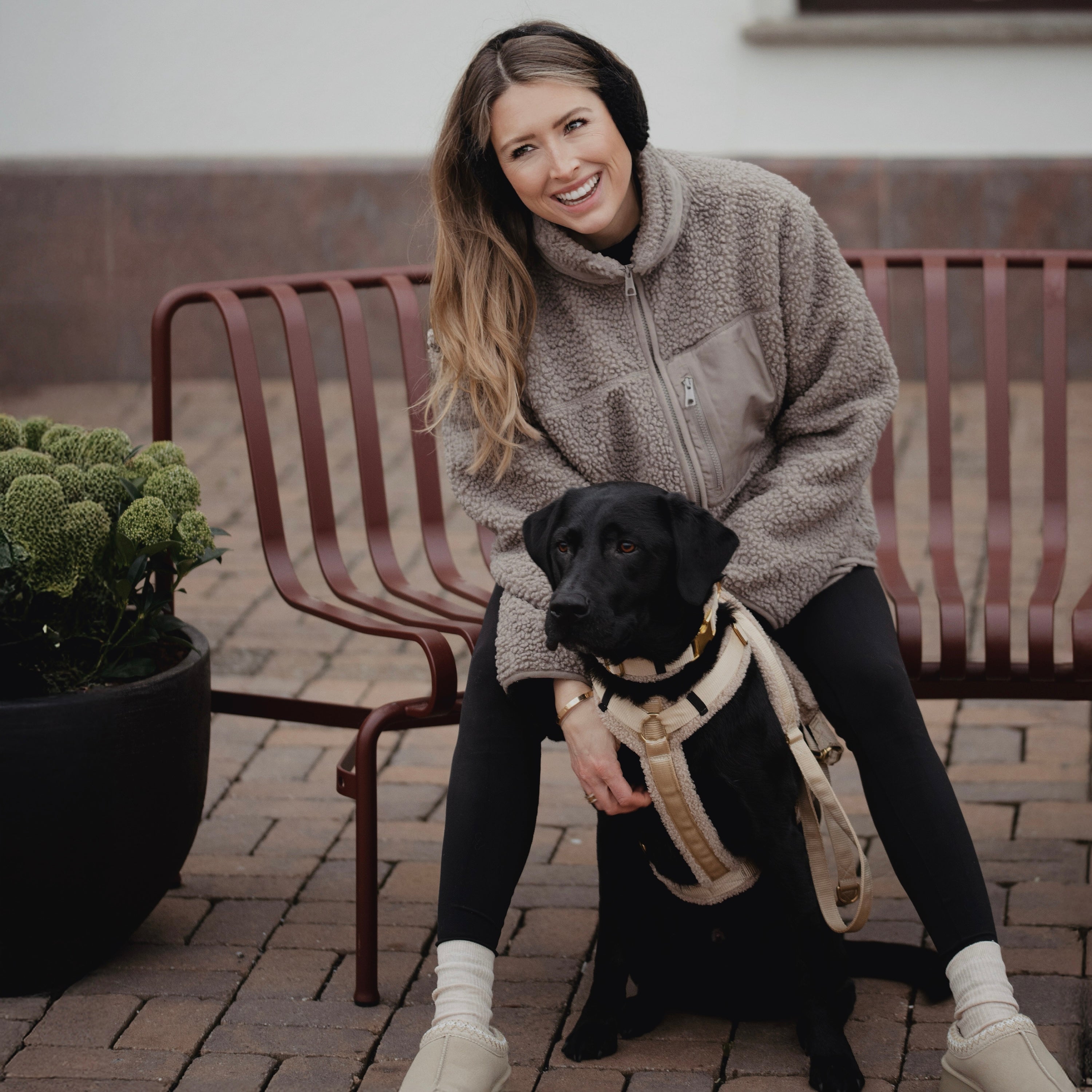 Teddy Hundegeschirr 'Cream'