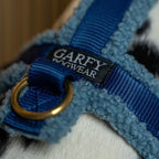 Teddy Hundegeschirr 'Blue'