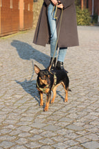 Biothane® Umhängeleine Juno