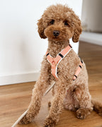 Hundegeschirr Soleil