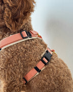 Hundegeschirr Soleil