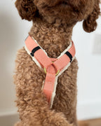 Hundegeschirr Soleil