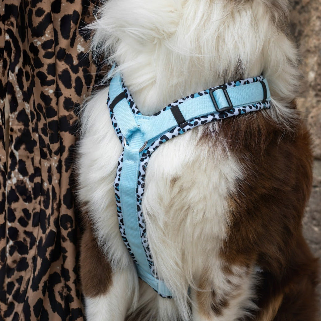 Hundegeschirr Easy Clip 'Blue Leo'