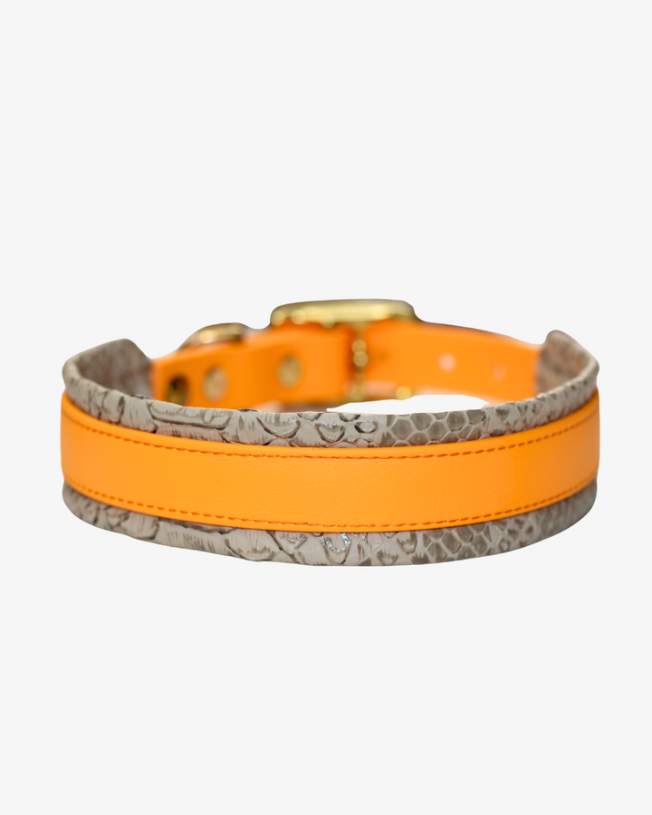 Hundehalsband Aura Sun