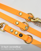 Biothane Hundeleine Aura Sun