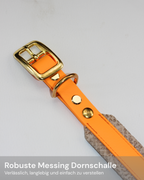 Hundehalsband Aura Sun