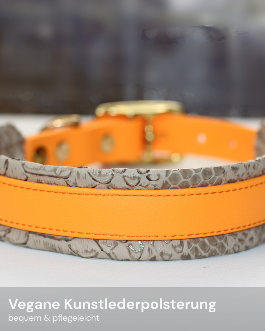 Hundehalsband Aura Sun