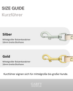 Biothane® Kurzführer Aura