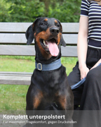 Zugstopp Halsband Denim