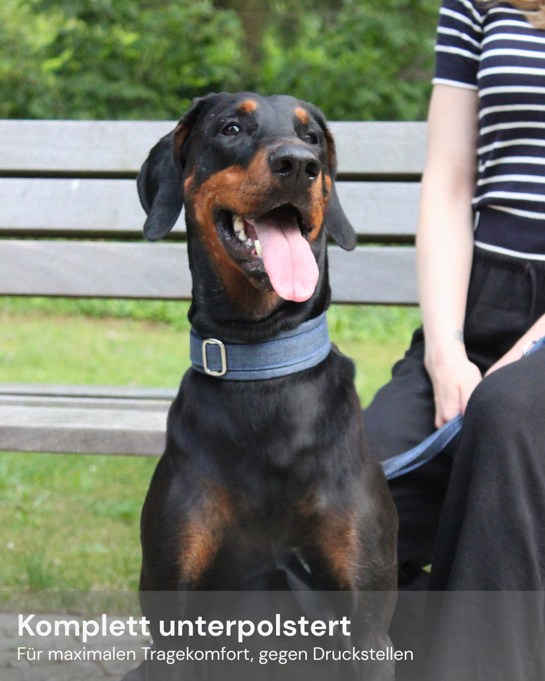 Zugstopp Halsband Denim