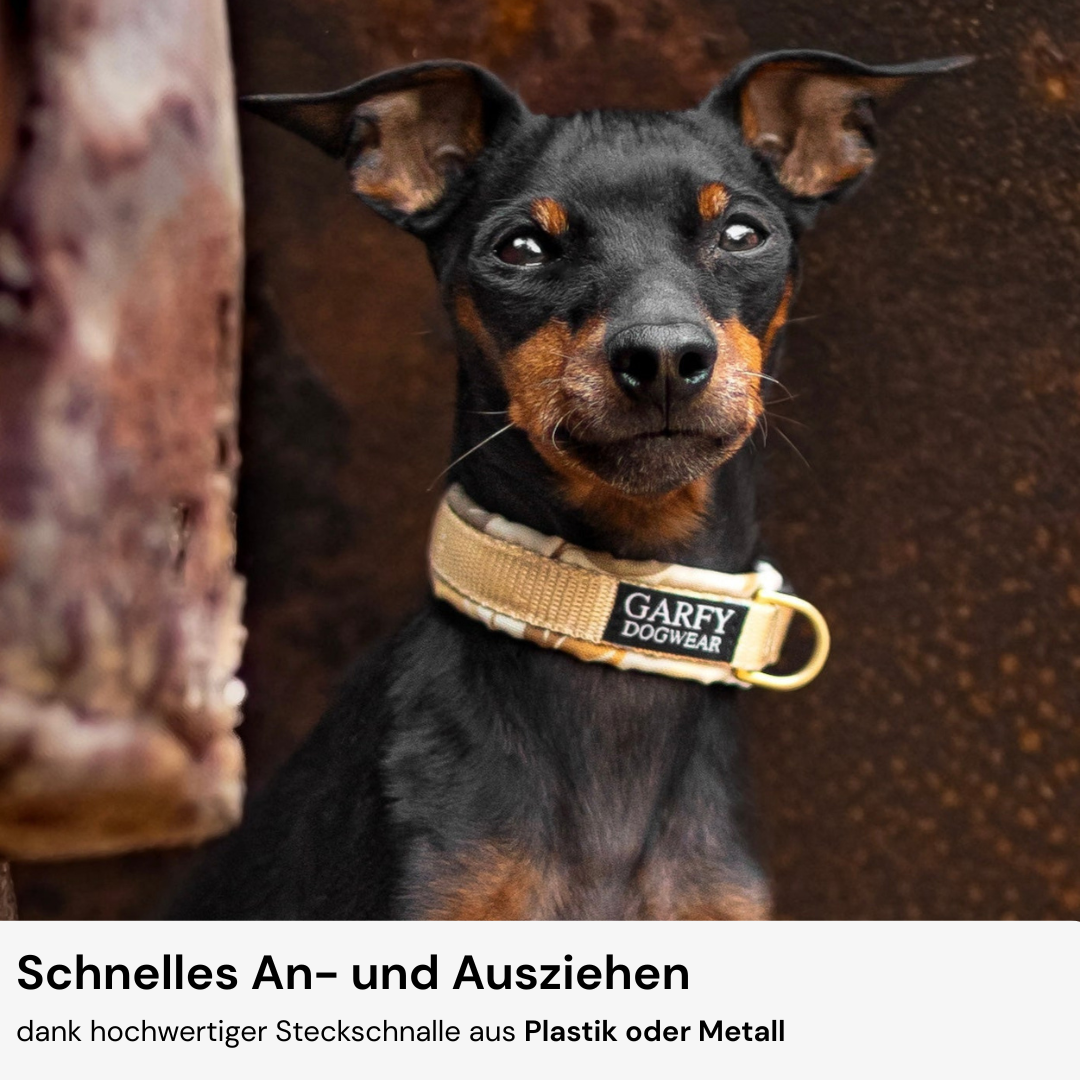 Halsband Konfigurator