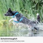 Hundegeschirr Konfigurator