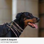 Zugstopphalsband Heritage