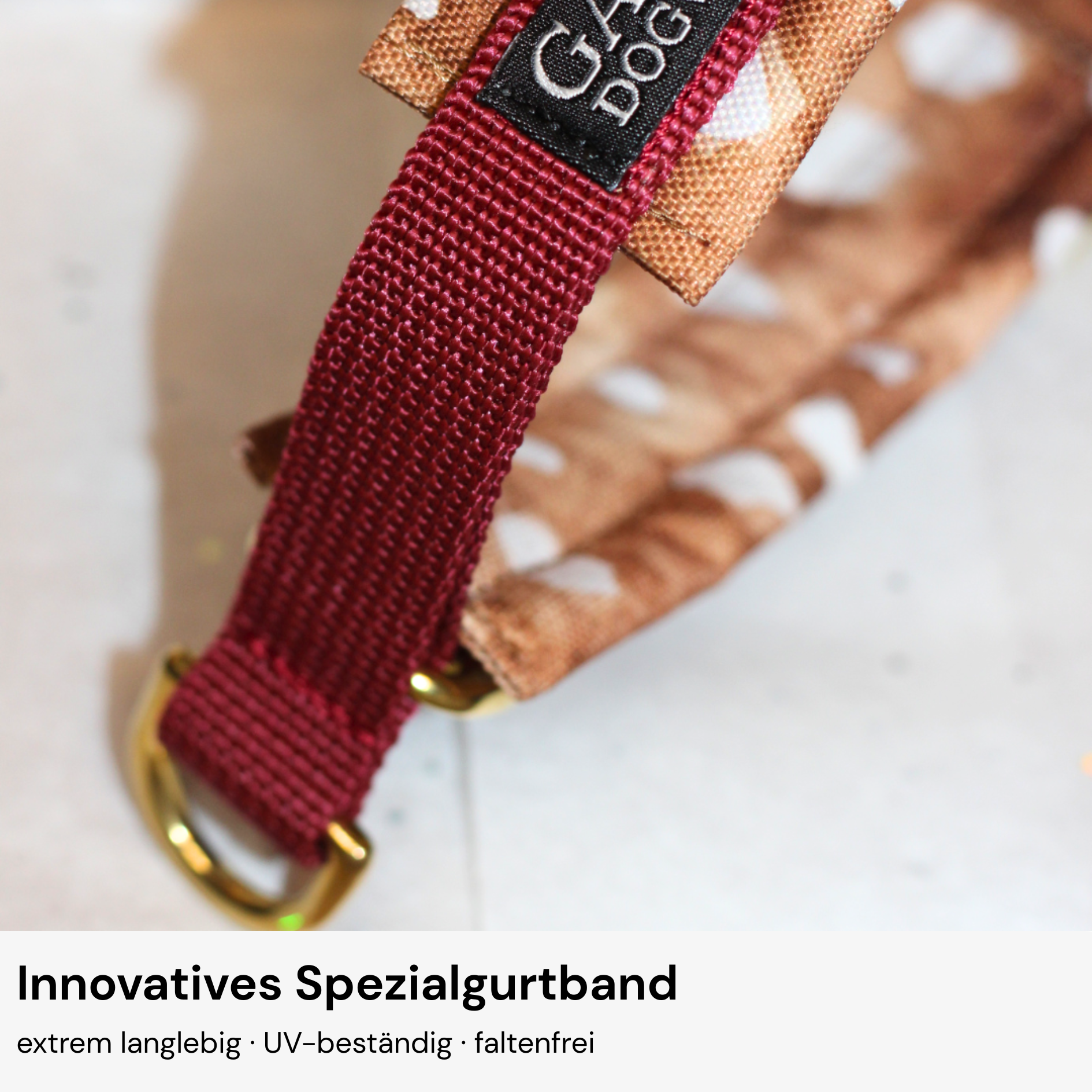 Zugstopphalsband Konfigurator