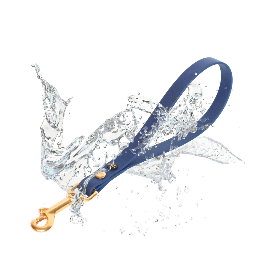 Kurzführer aus Biothane