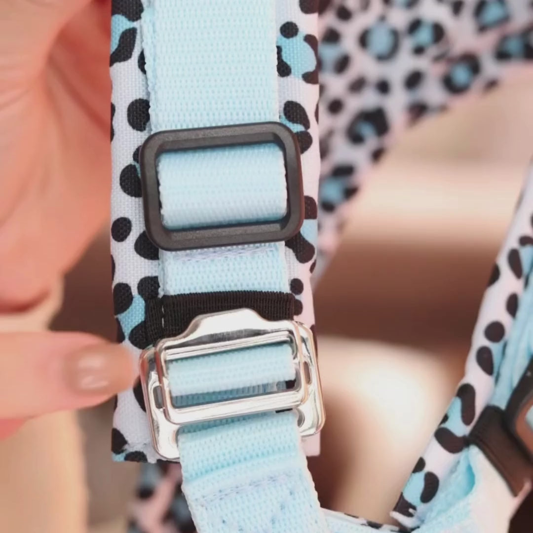 Hundegeschirr Easy Clip 'Blue Leo'