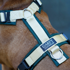 Hundegeschirr Hunting Green