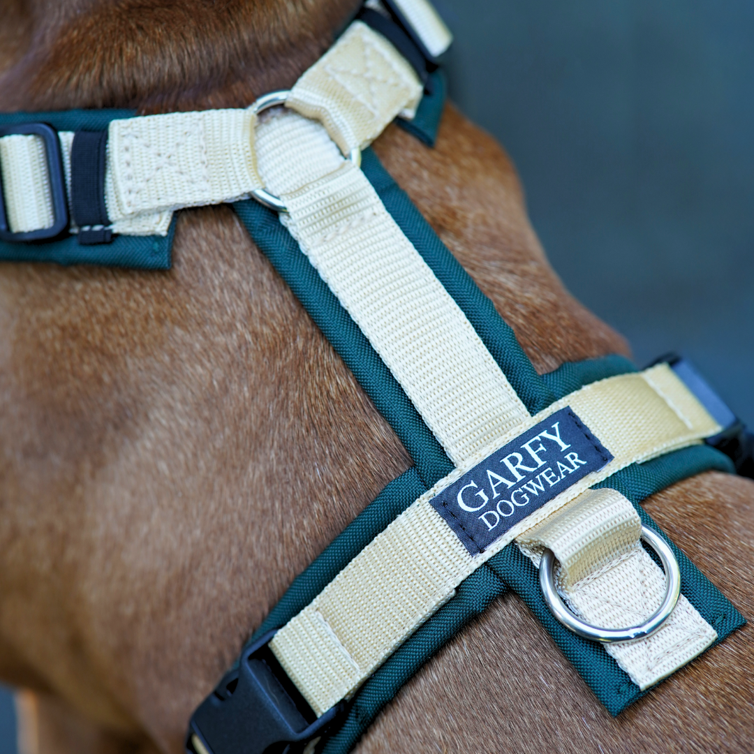 Hundegeschirr Hunting Green