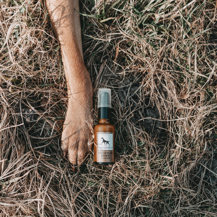 First Aid Balsam